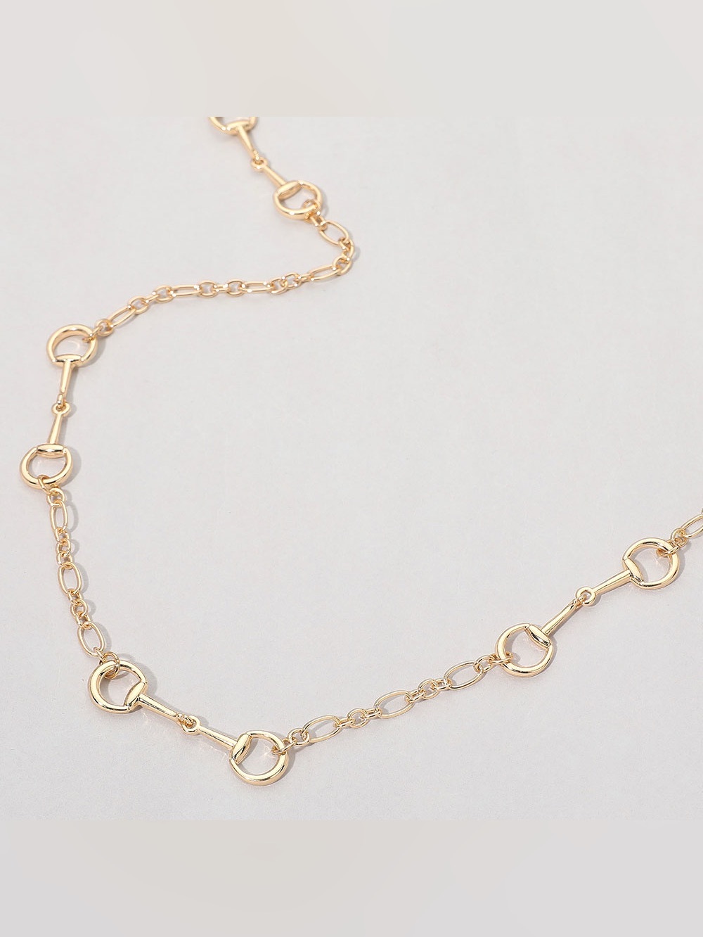Gold Metal Horsebit Link Long Necklace